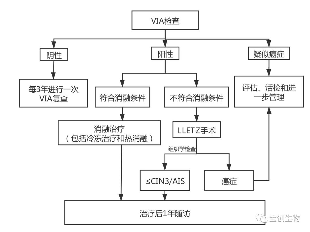 22_看圖王.web.jpg