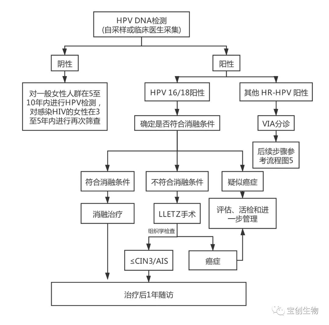 33_看圖王.web.jpg