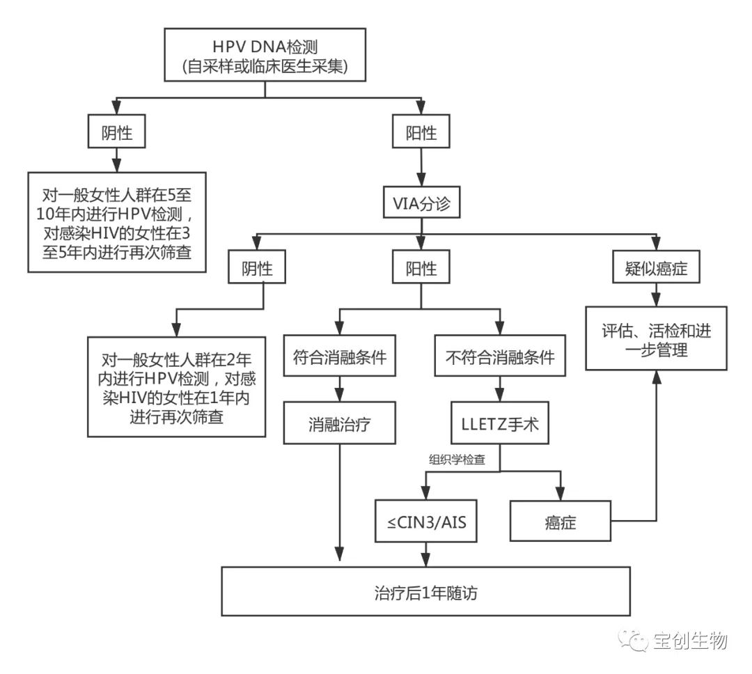 44_看圖王.web.jpg