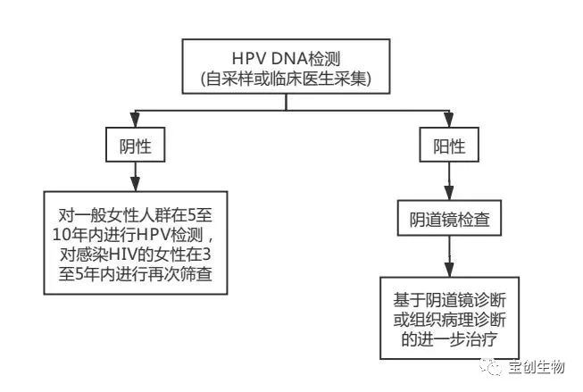 55_看圖王.web.jpg