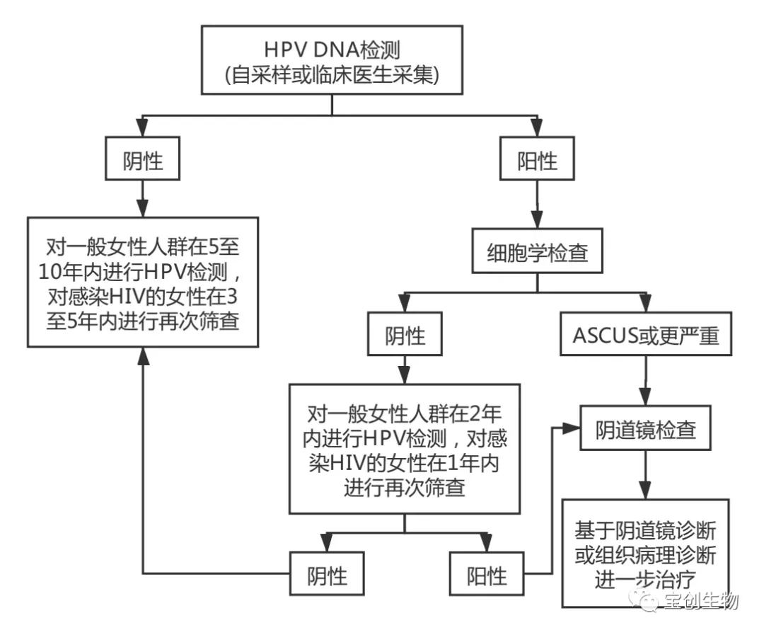 66_看圖王.web.jpg